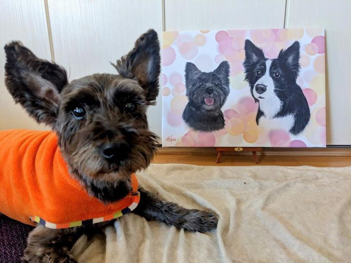 手描きのペット画をキャンバスにの写真