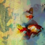 花と金魚